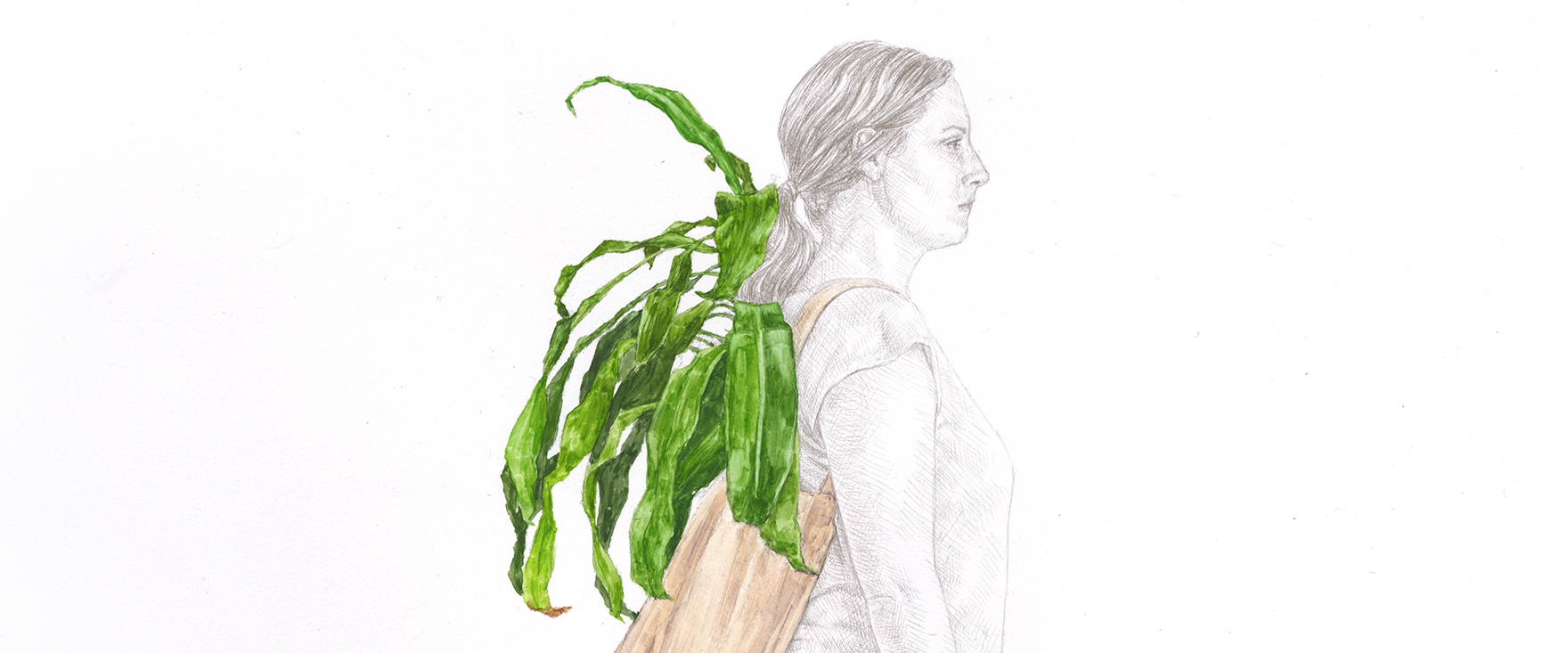 Andrea Sherrill Evans Portable Plant Study 3 Web