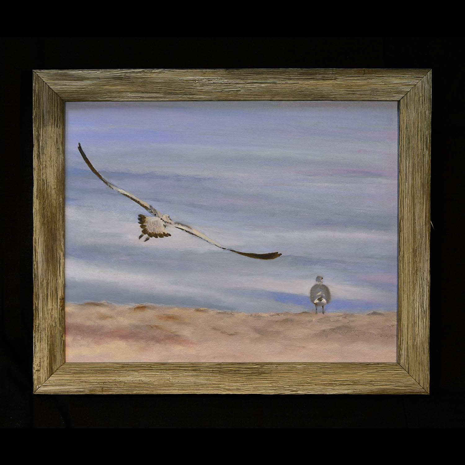 Lori Myers, Gulls