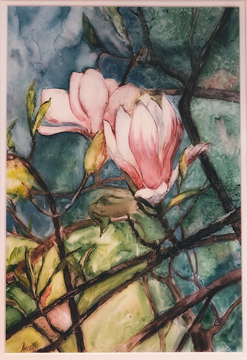 Magnolia Blossoms Watercolor Painting Annette Uroski