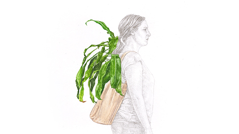Andrea Sherrill Evans Portable Plant Study 3 THUMB1