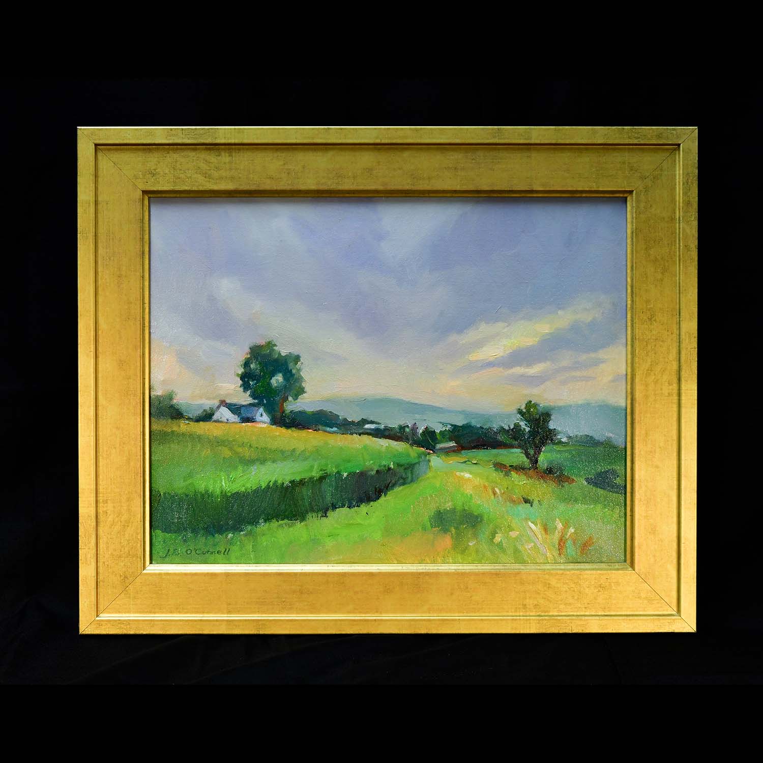 Jennifer O'connell, High Corn