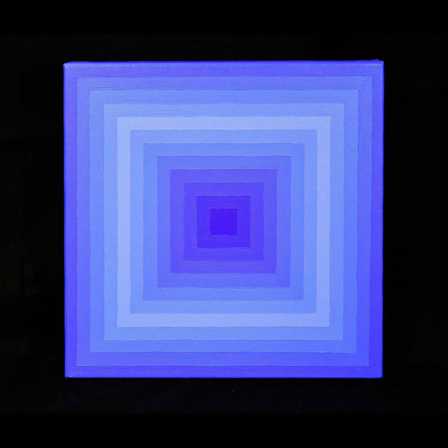 David Salgado, Ultramarine Blue 8.1