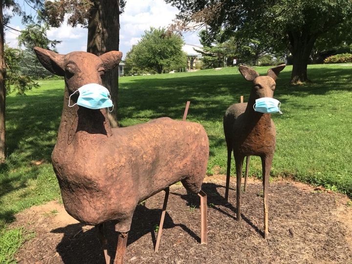 Deer Strathmore Masks