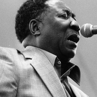 Muddy Waters