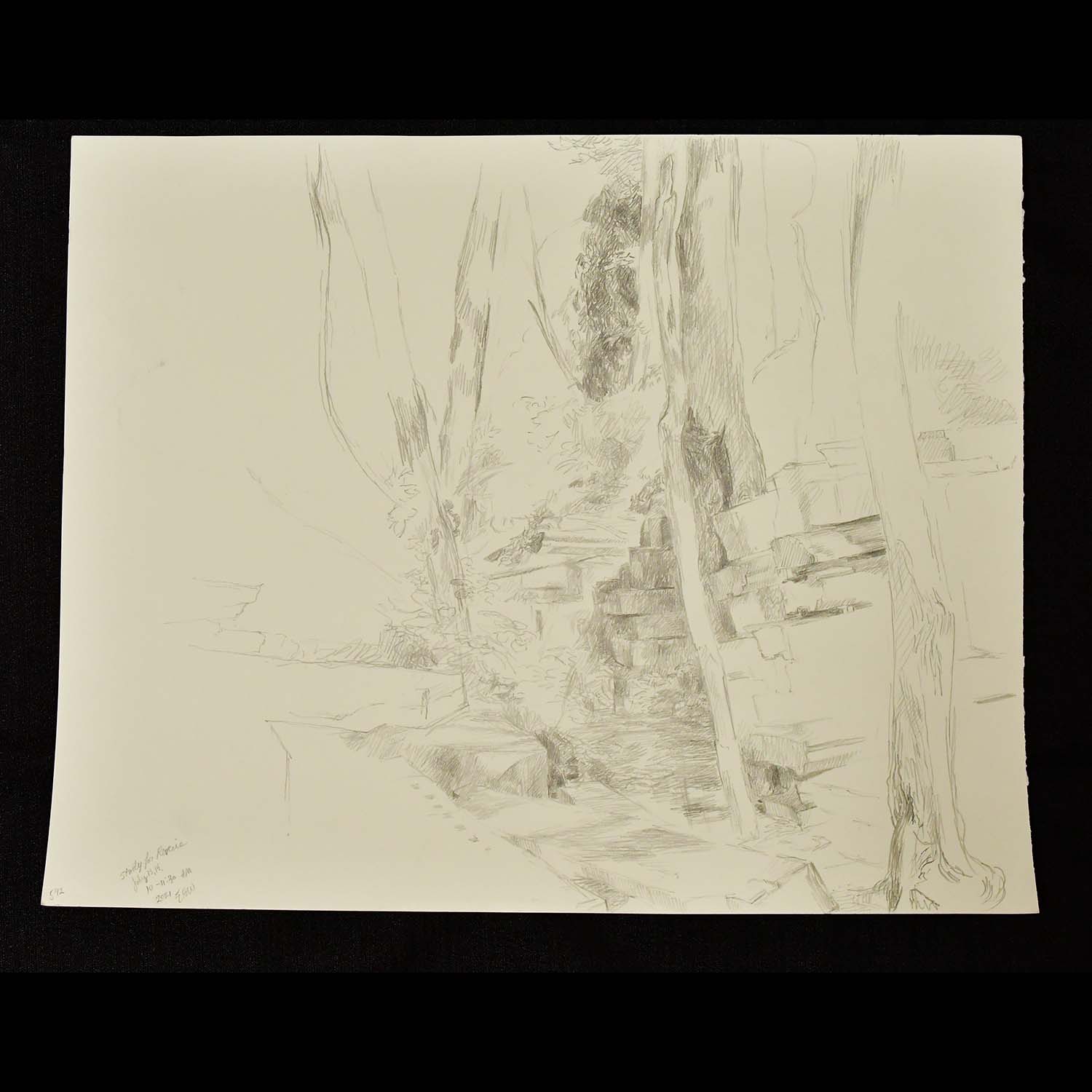 Elaine Wilson, Study For Reverie