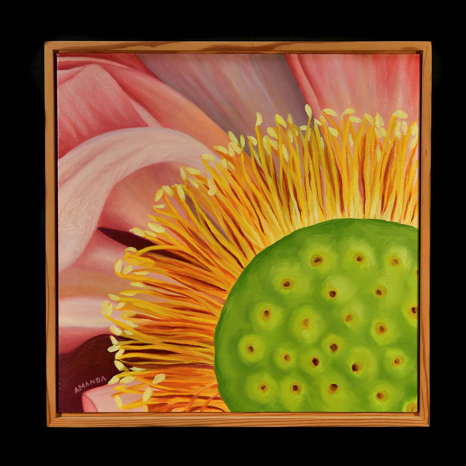 Amanda Coelho, Lotus Awakening