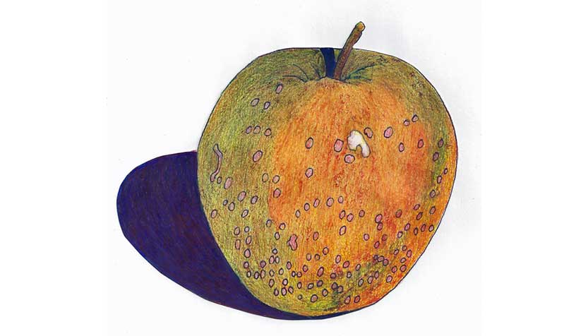 Colored Pencil Apple Drawing